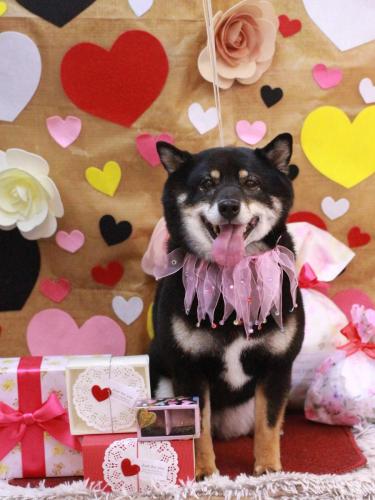 20230203サチちゃん